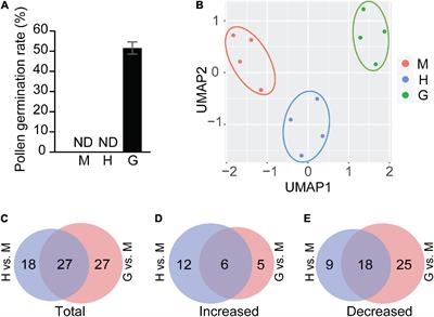 Comparative Metabolic Analysis Reveals a Metabolic Switch in Mature, Hydrated, and Germinated Pollen in Arabidopsis thaliana